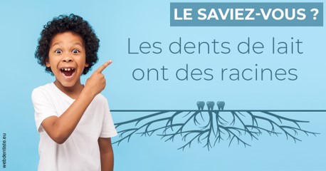 https://dr-le-gall-nicolas.chirurgiens-dentistes.fr/Les dents de lait 2