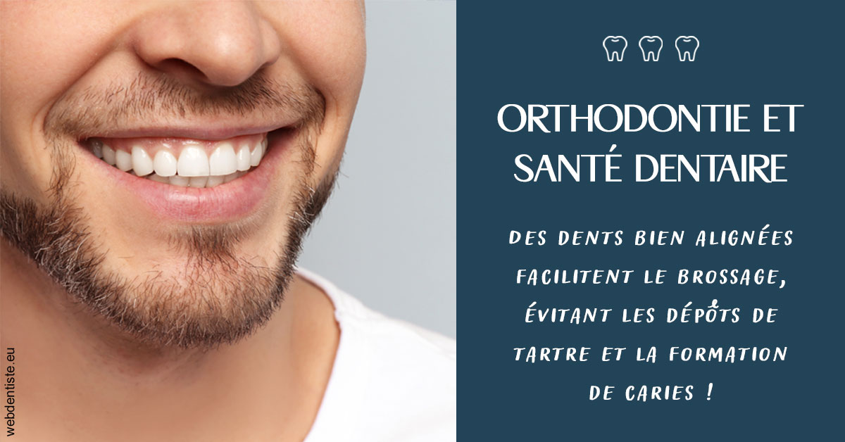 https://dr-le-gall-nicolas.chirurgiens-dentistes.fr/Orthodontie et santé dentaire 2