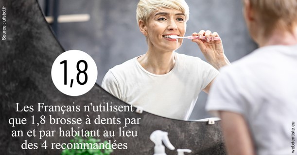 https://dr-le-gall-nicolas.chirurgiens-dentistes.fr/Français brosses 2