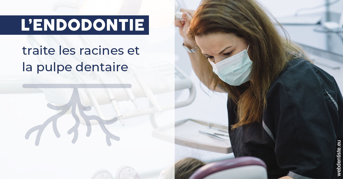 https://dr-le-gall-nicolas.chirurgiens-dentistes.fr/L'endodontie 1