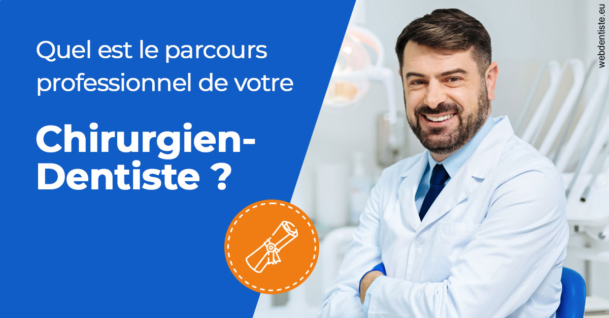 https://dr-le-gall-nicolas.chirurgiens-dentistes.fr/Parcours Chirurgien Dentiste 1