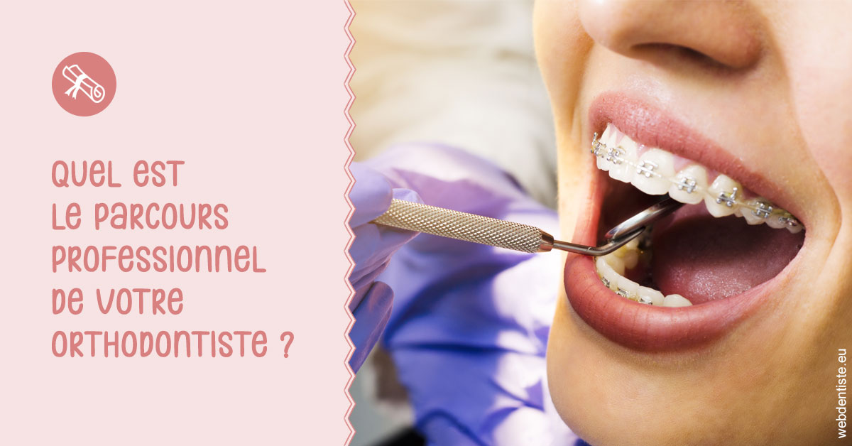 https://dr-le-gall-nicolas.chirurgiens-dentistes.fr/Parcours professionnel ortho 1