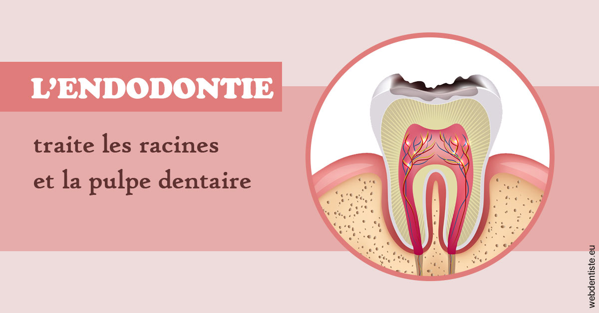 https://dr-le-gall-nicolas.chirurgiens-dentistes.fr/L'endodontie 2