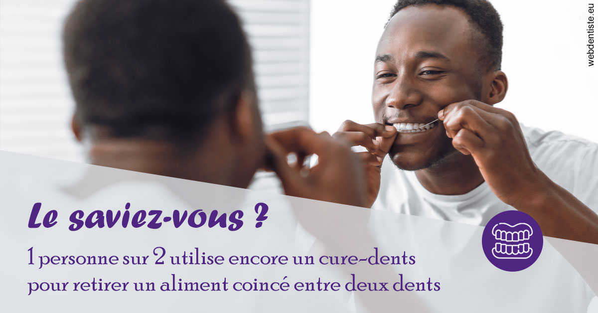 https://dr-le-gall-nicolas.chirurgiens-dentistes.fr/Cure-dents 2