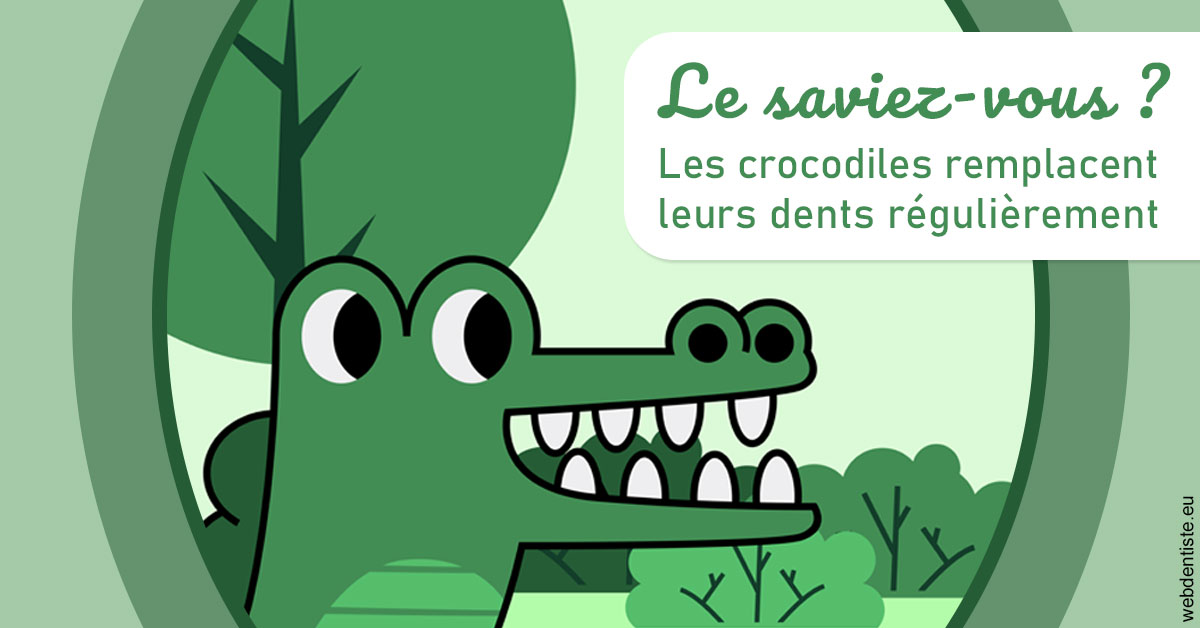 https://dr-le-gall-nicolas.chirurgiens-dentistes.fr/Crocodiles 2