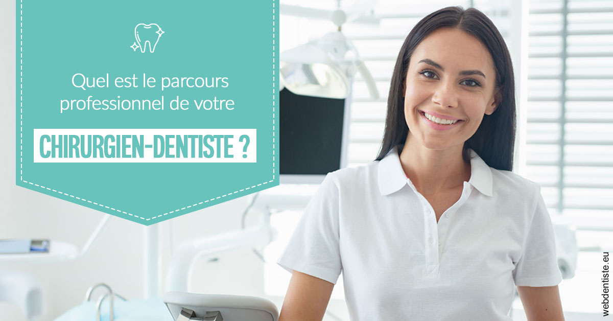 https://dr-le-gall-nicolas.chirurgiens-dentistes.fr/Parcours Chirurgien Dentiste 2